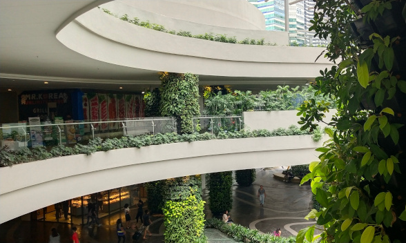 Citygate greenwall 2.0 using Vertigrow VFpro in Edsa