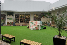 Artifical Plants / Turf