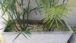 Drippers targeting root zone of plants