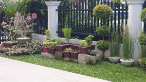 Micro Sprinklers for plants