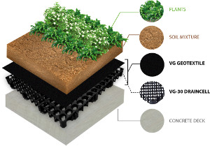 VG30 Draincell on Greenroofs