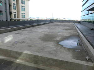 Prepare the Greenroof area