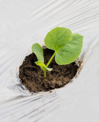 2 color mulch film black and silver