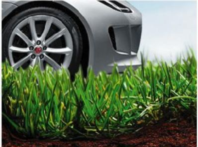 Grass without pavers