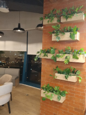 artificial plants in makati office