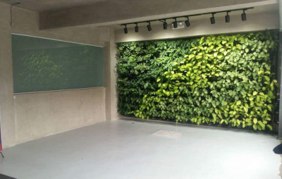 CIIT Multimedia  Vertical Garden / Greenwall in Quezon City
