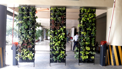 Cross Property Vertical Garden / Greenwall in Quezon City