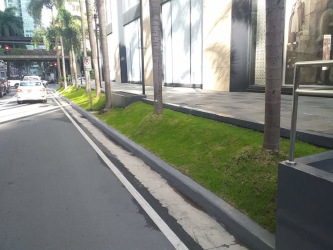 artificial plants in makati office