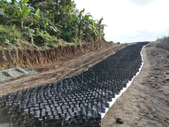 artificial plants in makati office