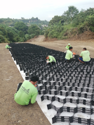 artificial plants in makati office