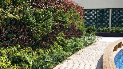 Residential Condominium Vertical Garden/Greenwall in Makati City