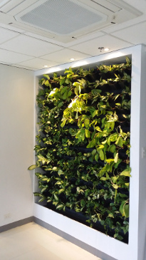 Pasig City Office using VF-1 with water recirculation drip irrigation