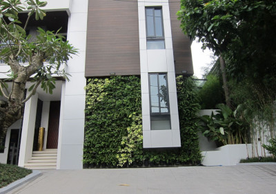 Residential Vertical Garden in Quezon City