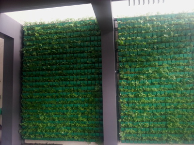 Quezon City Location Vertical Garden / Greenwall