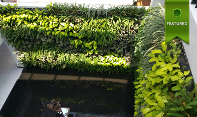 Makati Location Vertical Garden / Greenwall