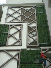Banawe Side Vertical Garden / Greenwall