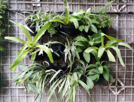 VT1 Vertical Pot Front view