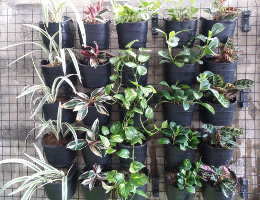 VF2 Vertical Pot Front view