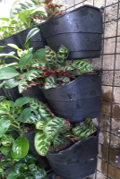 VF2 Vertical Pot Side view