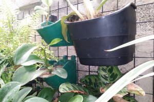 VF2 Vertical Pot VF1 Side by Side