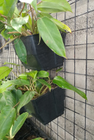 VF2 Vertical Pot Side view