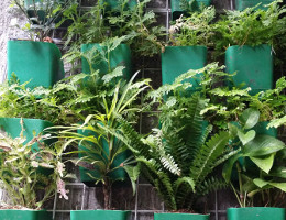 VT1 Vertical Pot Side view