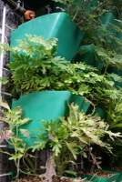 VT1 Vertical Pot Side view