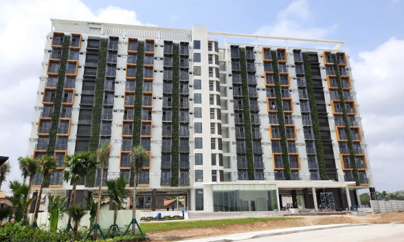 Zadia Greenwall / Vertical Garden using VF2 hanging pot